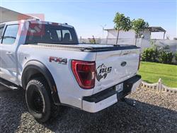 فۆرد F-150